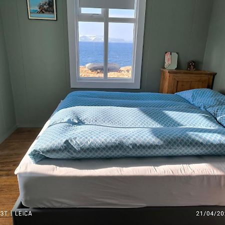 Happy-Cove Guesthouse - By The Sea Bakkafjorthur Экстерьер фото