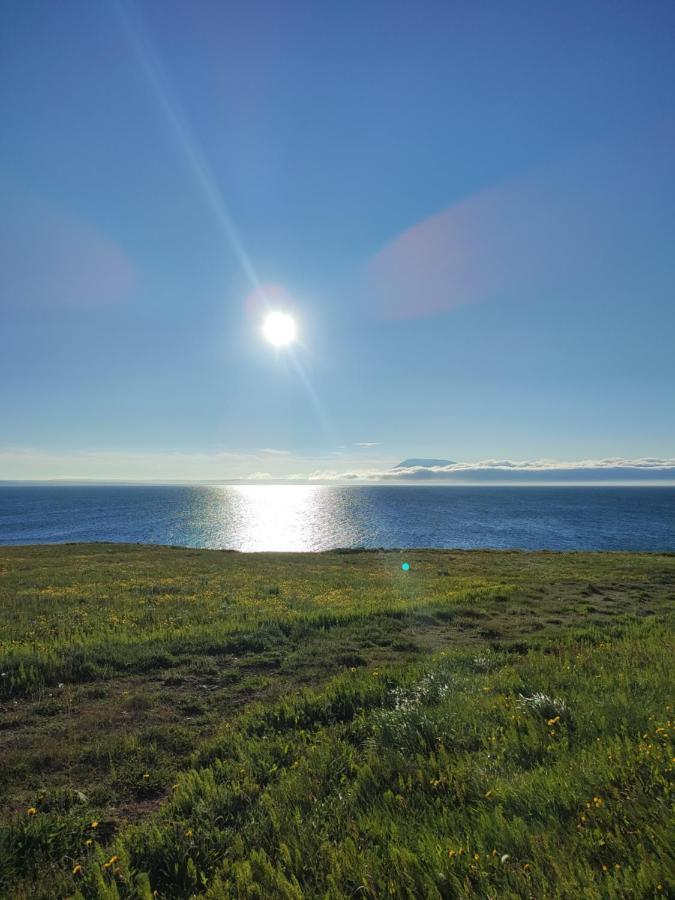 Happy-Cove Guesthouse - By The Sea Bakkafjorthur Экстерьер фото