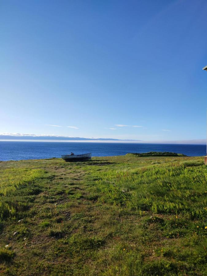 Happy-Cove Guesthouse - By The Sea Bakkafjorthur Экстерьер фото